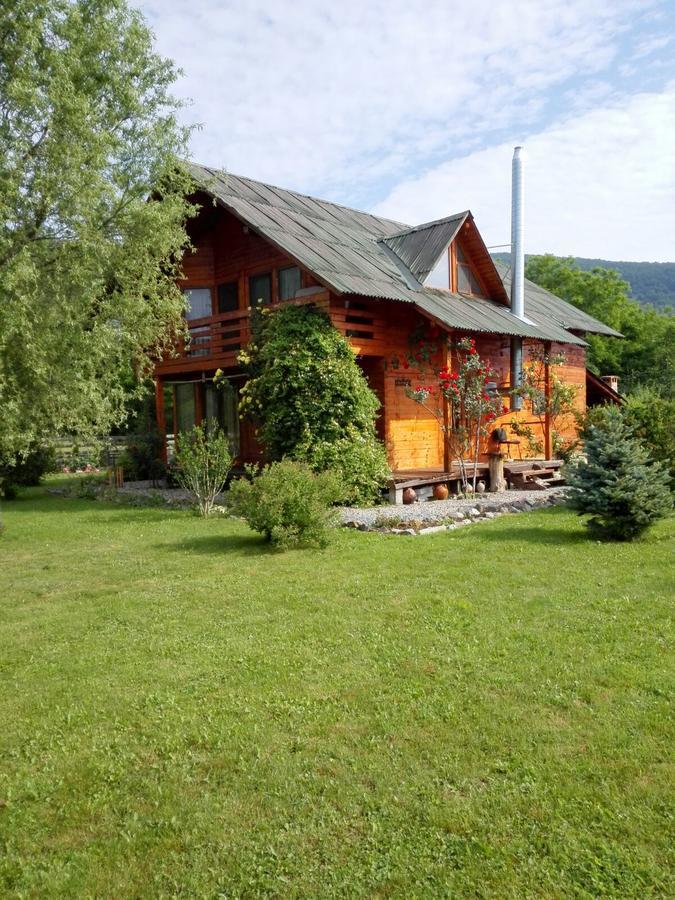 The Wooden House Villa Moldovenesti Exterior photo