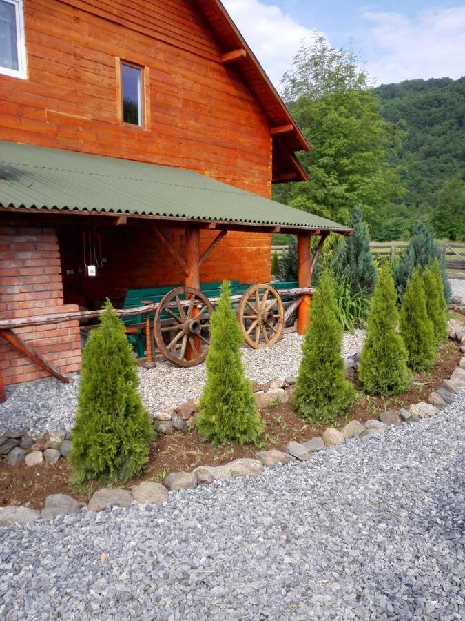 The Wooden House Villa Moldovenesti Exterior photo