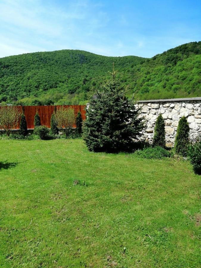 The Wooden House Villa Moldovenesti Exterior photo