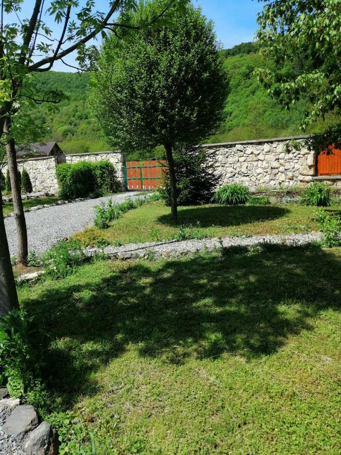 The Wooden House Villa Moldovenesti Exterior photo